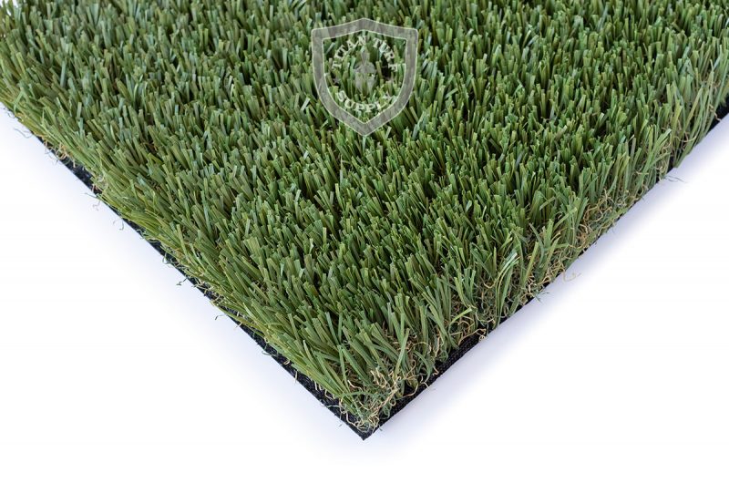 Gladiator-Pro-Wave-BL-forward-1-800x541
