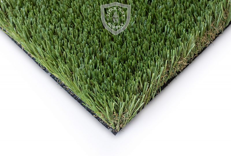Trojan-Pro-W-Blade-forward-800x541