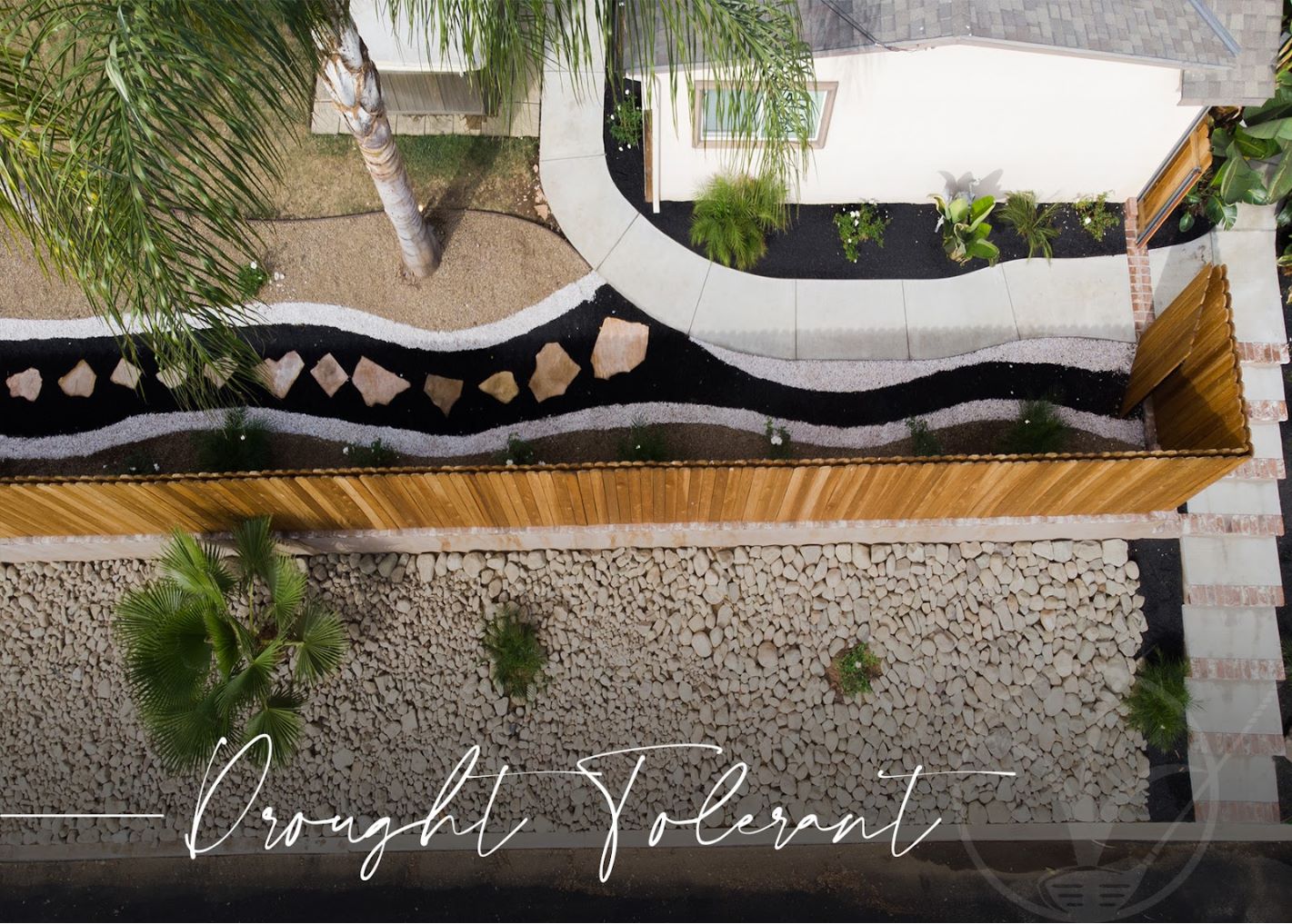 Drought Tolerant