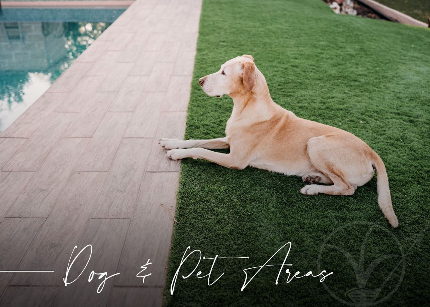 dog and pet areas